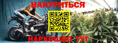 сатива Будённовск