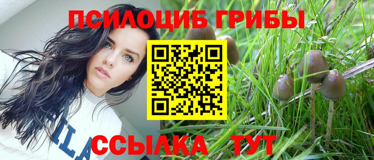 Галлюциногенные грибы Psilocybine cubensis Мелеуз